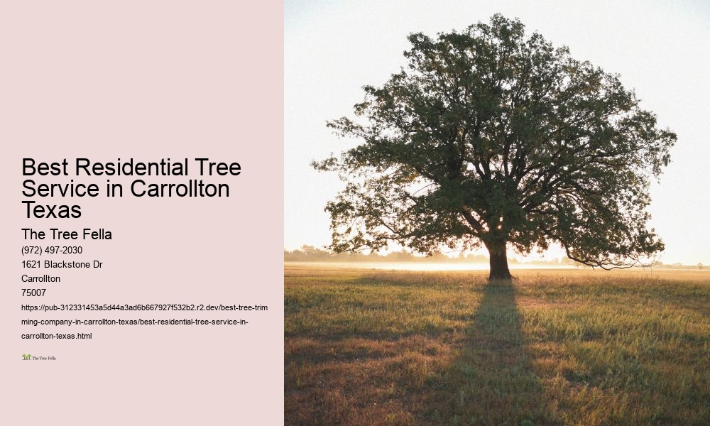 Best Residential Tree Service in Carrollton Texas