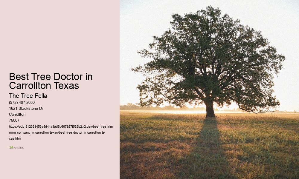 Best Tree Doctor in Carrollton Texas